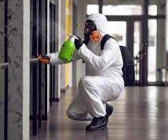 Reliable Eagle River, WI Mold Removal & Remediation Solutions